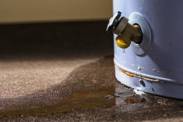 Best Flood restoration services  in Spring Valley, CA