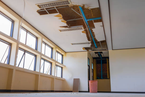 Best 24/7 water damage repair  in Spring Valley, CA