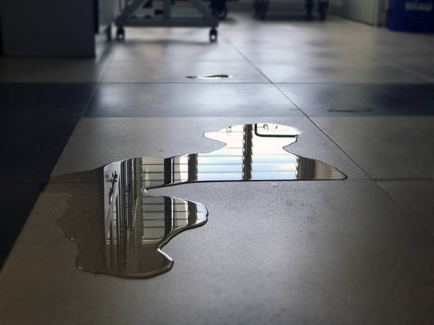 Best 24-hour water damage restoration  in Spring Valley, CA