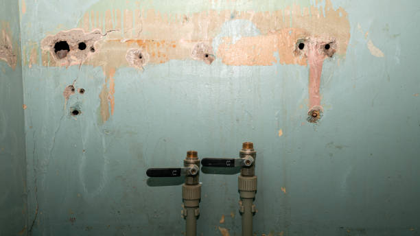 Best Flood damage cleanup  in Spring Valley, CA