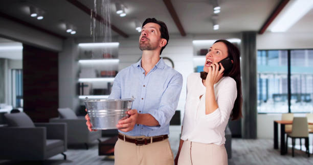 Trusted Spring Valley, CA Water damage restoration Experts